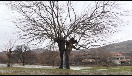 “الشجرة النافورة” ظاهرة “خارقة” ماهو تفسيرها - فيديو