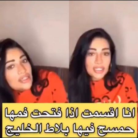 الإعلامية روزانا اليامي تهاجم فنانة سعودية بألفاظ غاضبة - فيديو