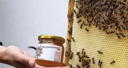 نصائح ثمينة لمن يريدون العسل الأكثر فائدة