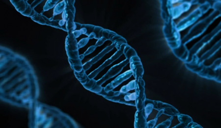 تاريخ الحمض النووي والجينات الخلوية