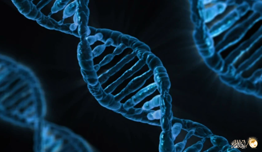 تاريخ الحمض النووي والجينات الخلوية