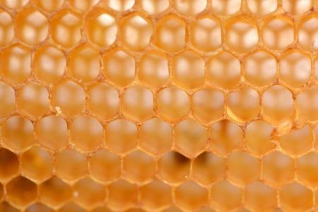 لماذا يبني النحل خلاياه بشكل سداسي؟